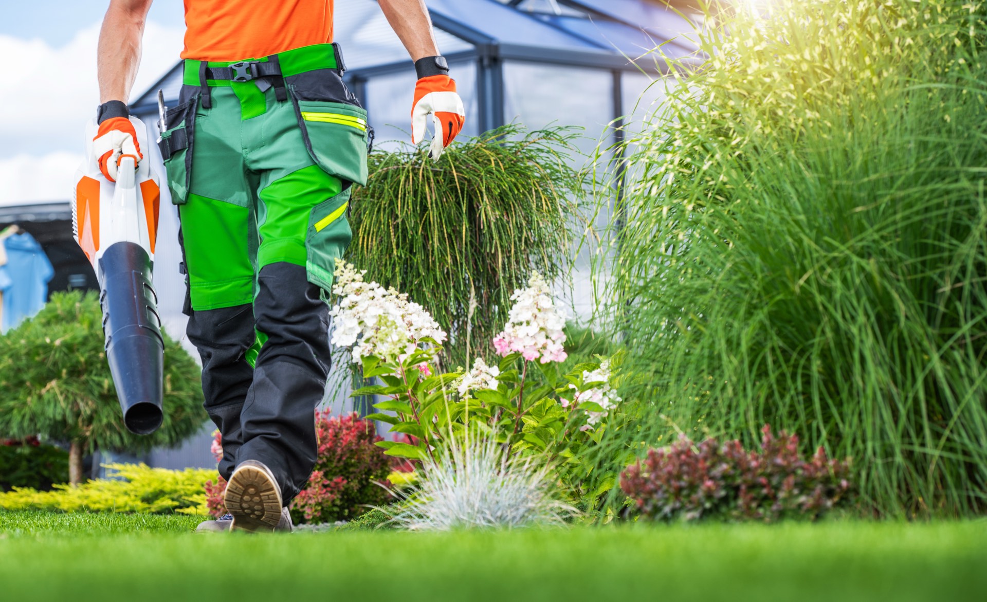 Landscape — Garden, cared for